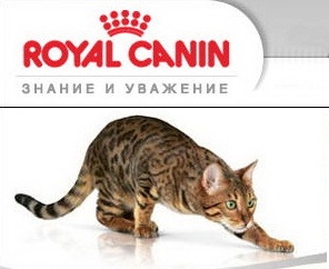 Новинки от Royal Canin для стерилизованных кошек и кастрированных котов