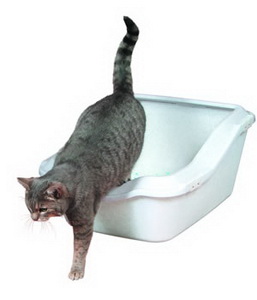 октрытый туалет для кошки