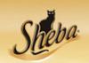 Sheba 