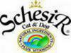 Schesir 