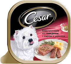 Cesar (Цезарь) консервы для собак Бефстроганов Говядина/сыр/укроп