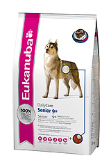 Eukanuba Senior Plus идеальное питание для пожилых собак