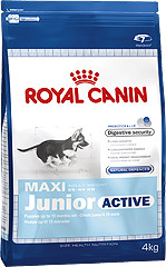Royal Canin Maxi Junior Active (Роял Канин Макси Юниор Актив) сухой корм для щенков