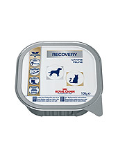Royal Canin Recovery Canin/Feline (Роял Канин Рекавери Канин/фелин) консервы для кошек и собак  100гр х 8шт (ламистр)
