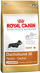 Royal Canin Dachshund Junior (Роял Канин Такса Юниор) сухой корм для щенков 1,5 кг