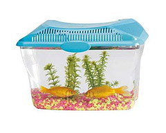 SAVIC Аква-террариум AQUA SMILE 6л 30х20х23см