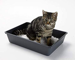 SAVIC Туалет для кошек LITTER TRAY с решеткой 42х30х10см